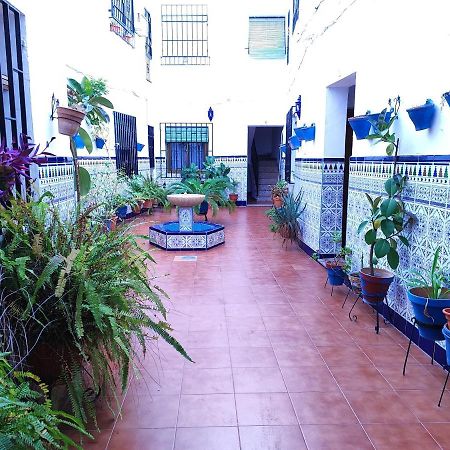 La Casa Del Patio En Pleno San Lorenzo Córdoba Exteriér fotografie